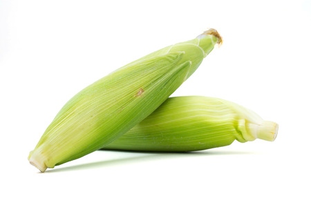 Elote