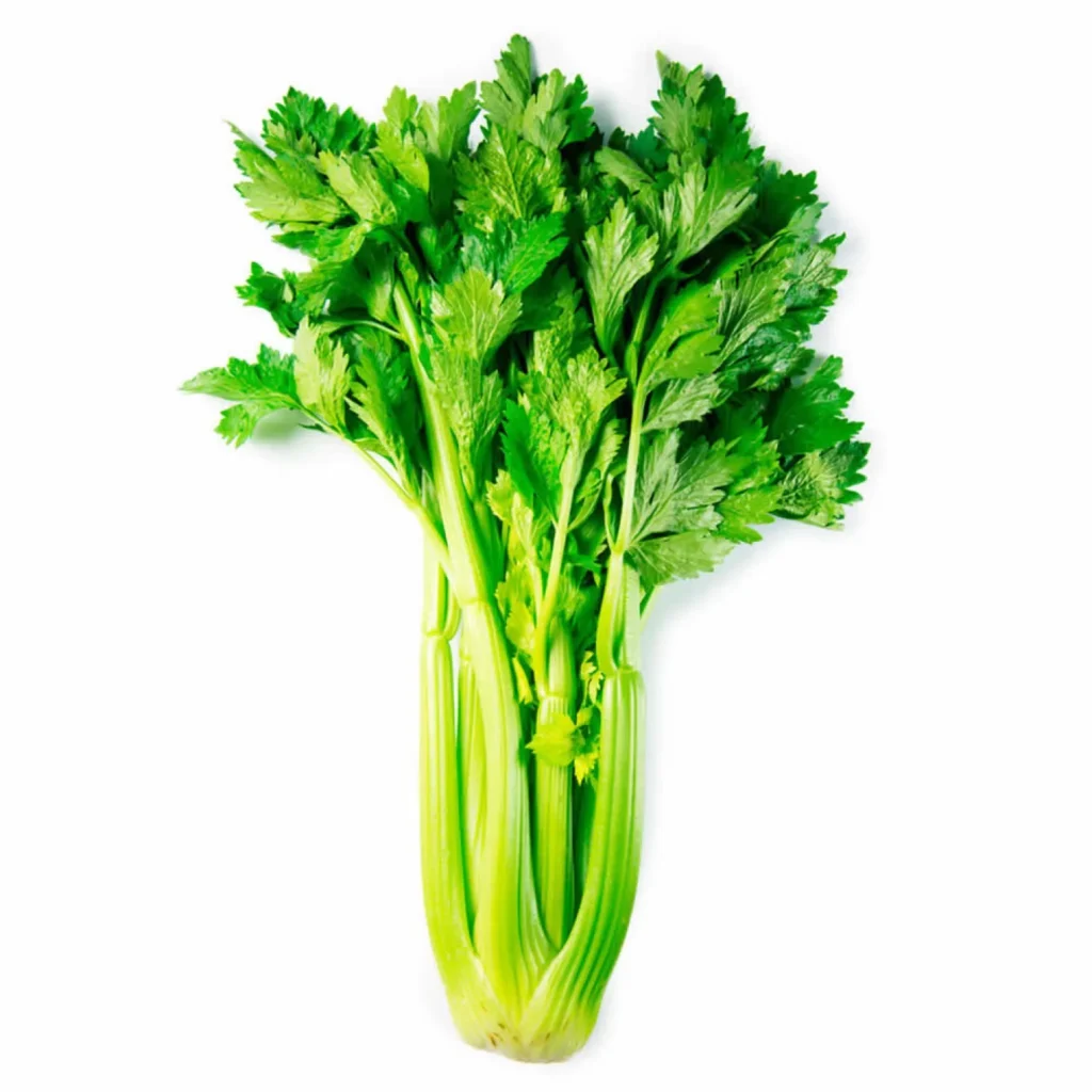 Apio verde (mata)