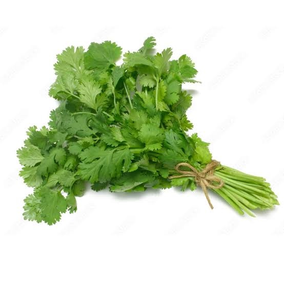 Culantro Castilla
