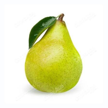 Pera