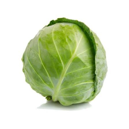 Repollo Verde